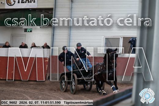 Mintakép 20260207-1120