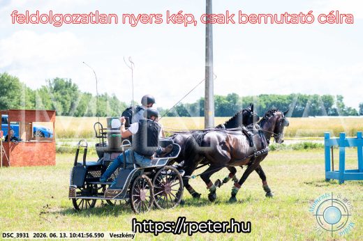 Mintakép 20260613-658