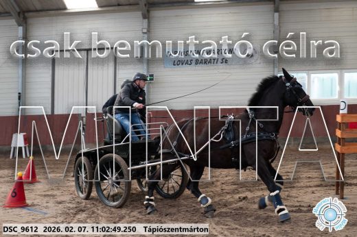 Mintakép 20260207-1129