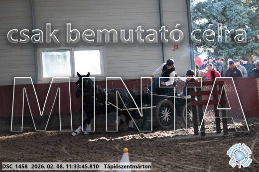 Mintakép 20260208-1904
