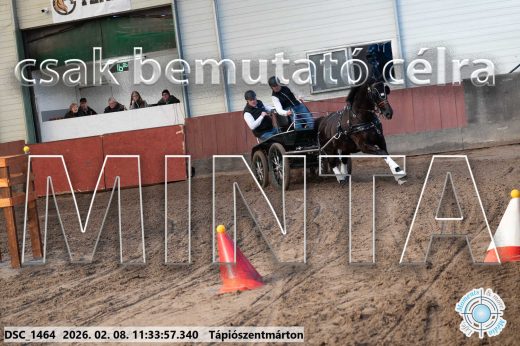 Mintakép 20260208-1909