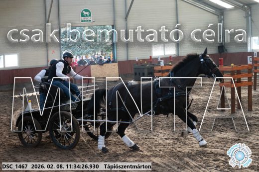 Mintakép 20260208-1912