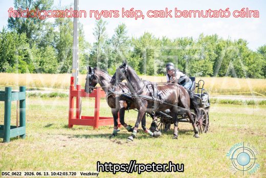 Mintakép 20260613-660