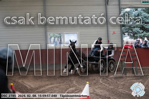 Mintakép 20260208-1928
