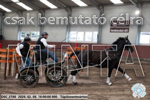 Mintakép 20260208-1931