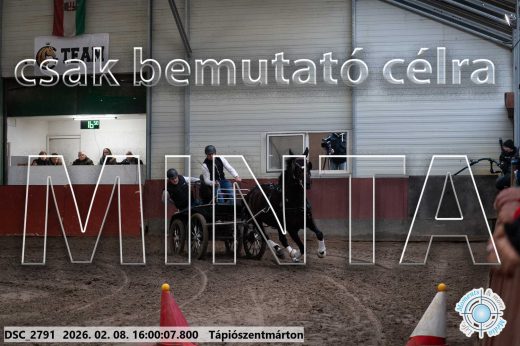 Mintakép 20260208-1933