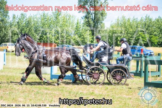 Mintakép 20260613-662