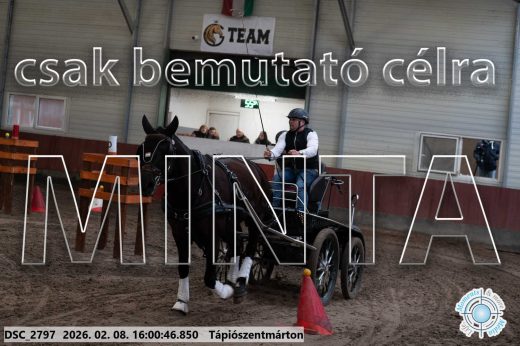 Mintakép 20260208-1939