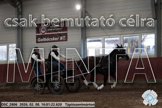 Mintakép 20260208-1947