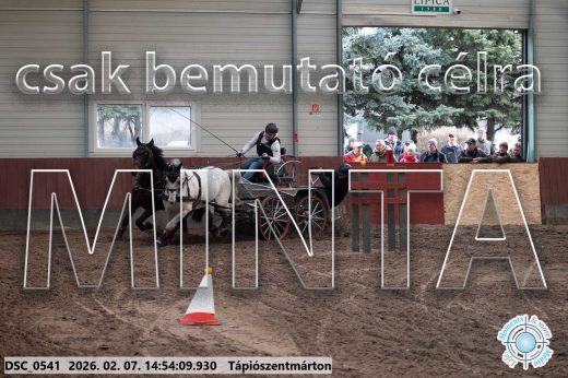 Mintakép 20260207-1135