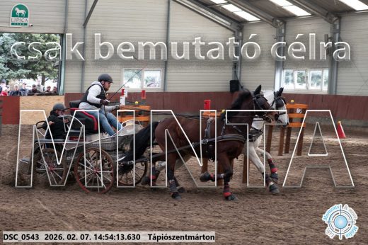 Mintakép 20260207-1137