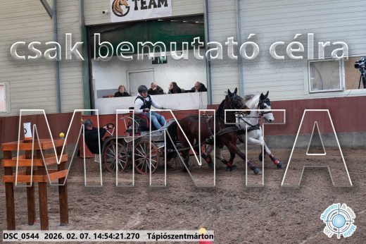 Mintakép 20260207-1138