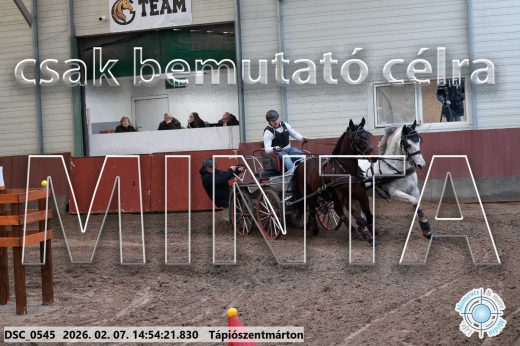 Mintakép 20260207-1139