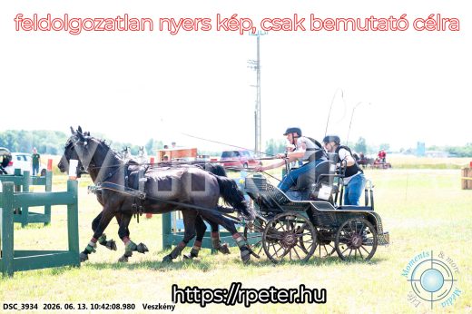 Mintakép 20260613-664