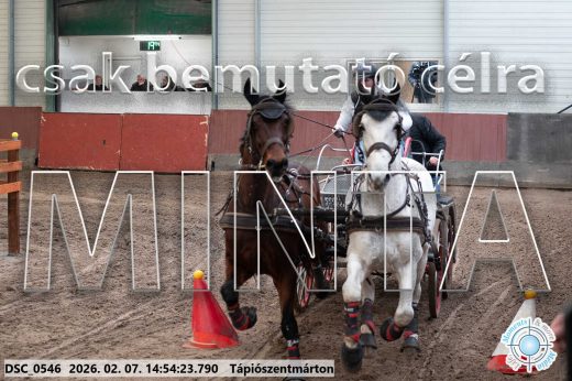 Mintakép 20260207-1140
