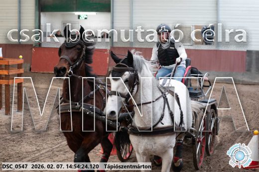 Mintakép 20260207-1141