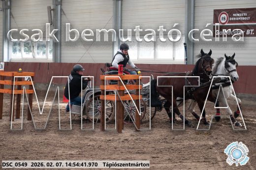 Mintakép 20260207-1142
