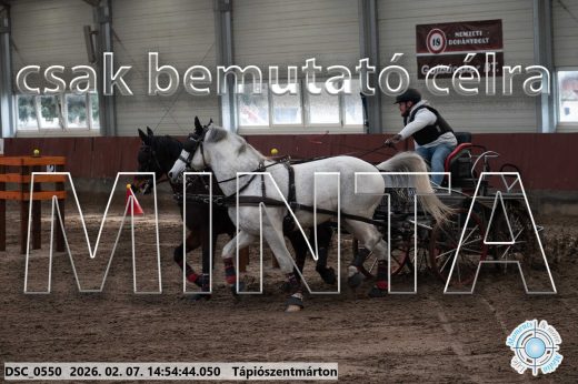 Mintakép 20260207-1143