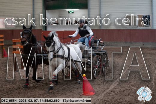 Mintakép 20260207-1146