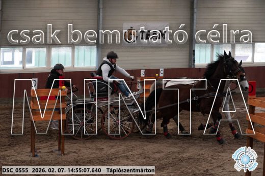 Mintakép 20260207-1147