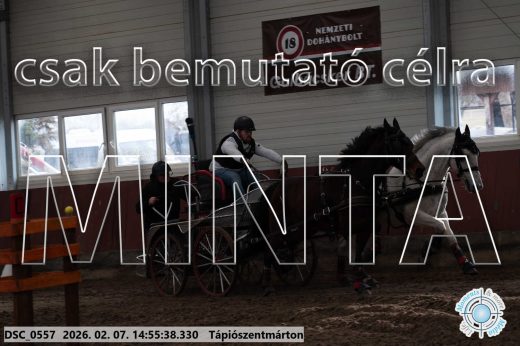 Mintakép 20260207-1148