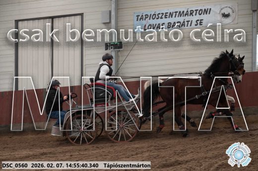Mintakép 20260207-1150
