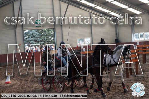 Mintakép 20260208-1950