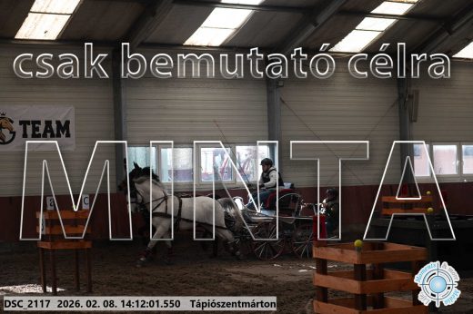 Mintakép 20260208-1951