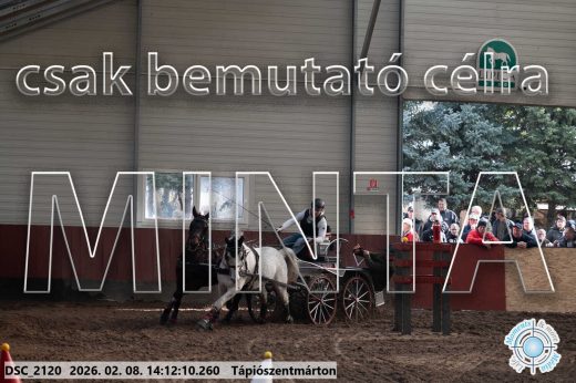 Mintakép 20260208-1954