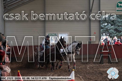 Mintakép 20260208-1955