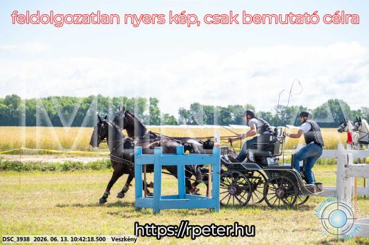 Mintakép 20260613-666