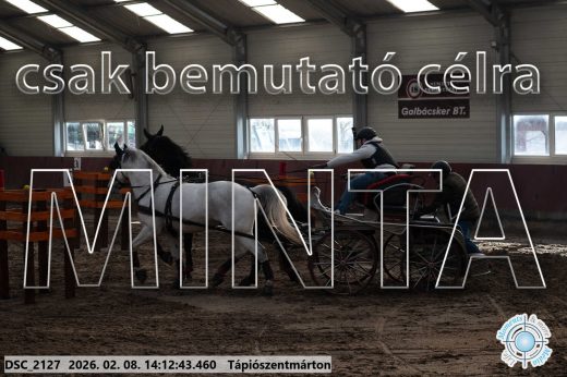Mintakép 20260208-1960