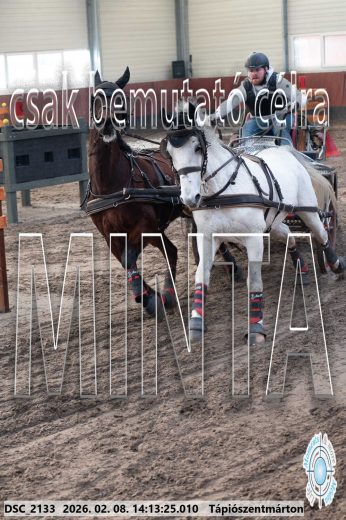 Mintakép 20260208-1965