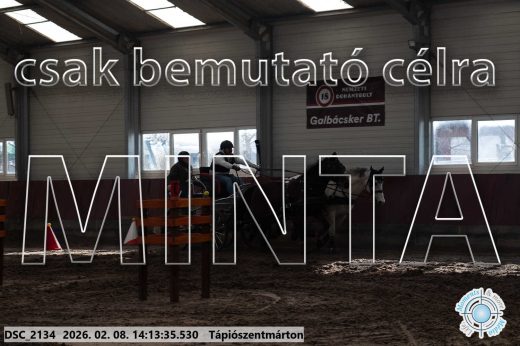 Mintakép 20260208-1966