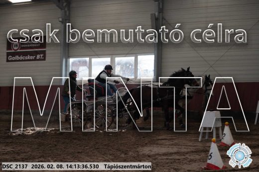 Mintakép 20260208-1969