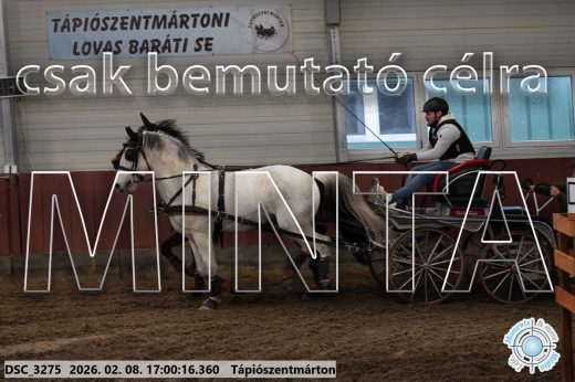 Mintakép 20260208-1971