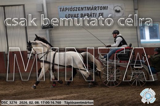 Mintakép 20260208-1972