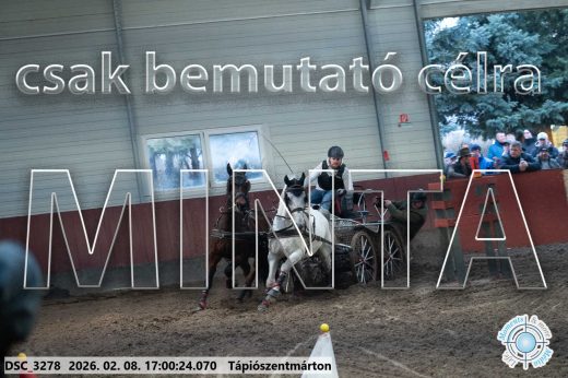 Mintakép 20260208-1974