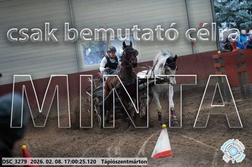 Mintakép 20260208-1975