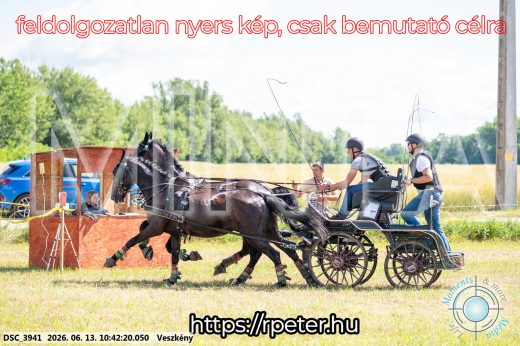 Mintakép 20260613-668