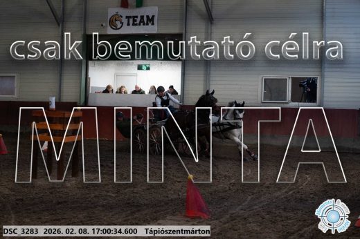 Mintakép 20260208-1979