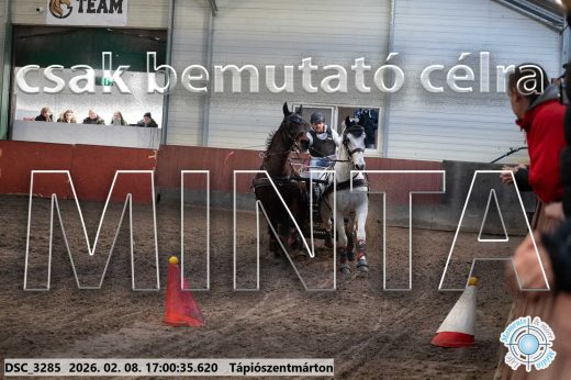 Mintakép 20260208-1981