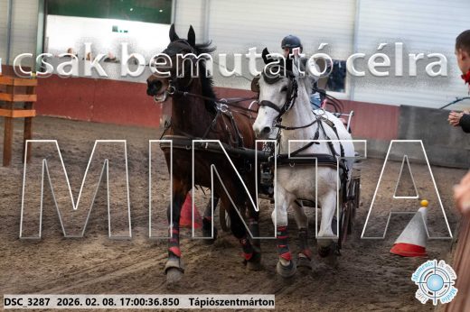 Mintakép 20260208-1983