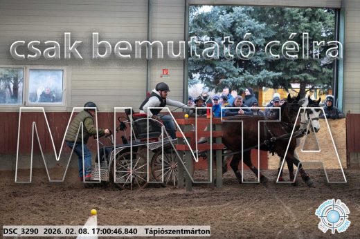 Mintakép 20260208-1986