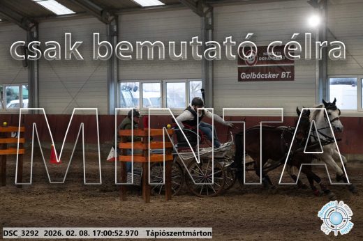 Mintakép 20260208-1987