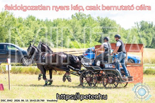 Mintakép 20260613-669