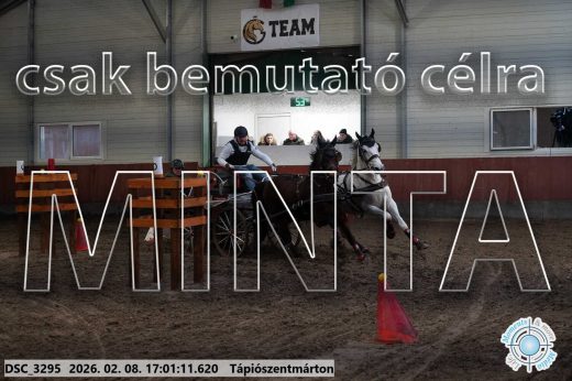 Mintakép 20260208-1990