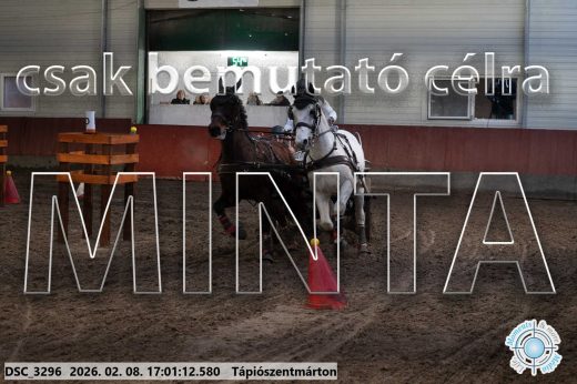 Mintakép 20260208-1991