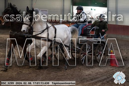 Mintakép 20260208-1993
