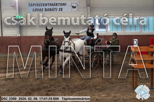 Mintakép 20260208-1994